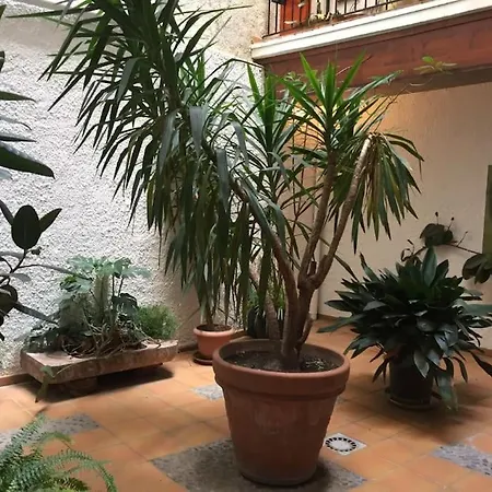 Studio Meuble/Clim Cent Hist Perpig+ Park Gratuit Perpignan Extérieur photo