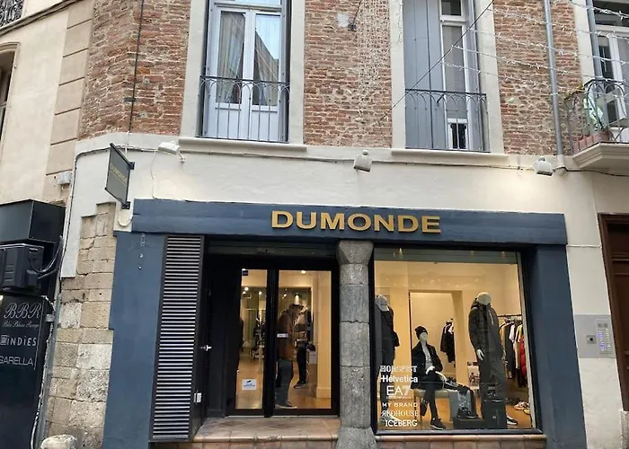 Studio Meuble/Clim Cent Hist Perpig+ Park Gratuit