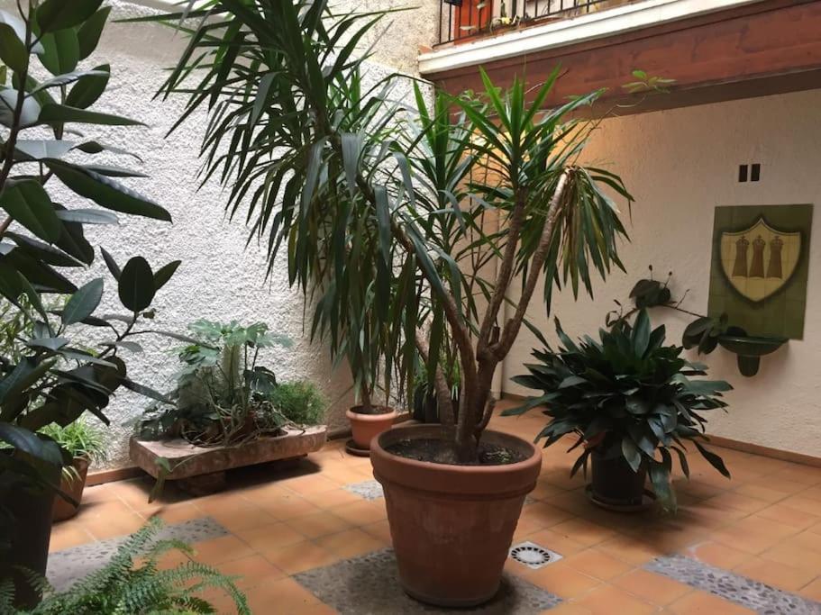 Apartment Meuble/clim Cent Hist Perpig+ Park Gratuit